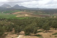 Le train de Ronda