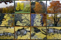 Automne aux Buttes Chaumont