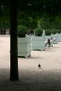 Solitude au Palais Royal