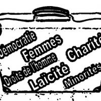 La valise prismatique